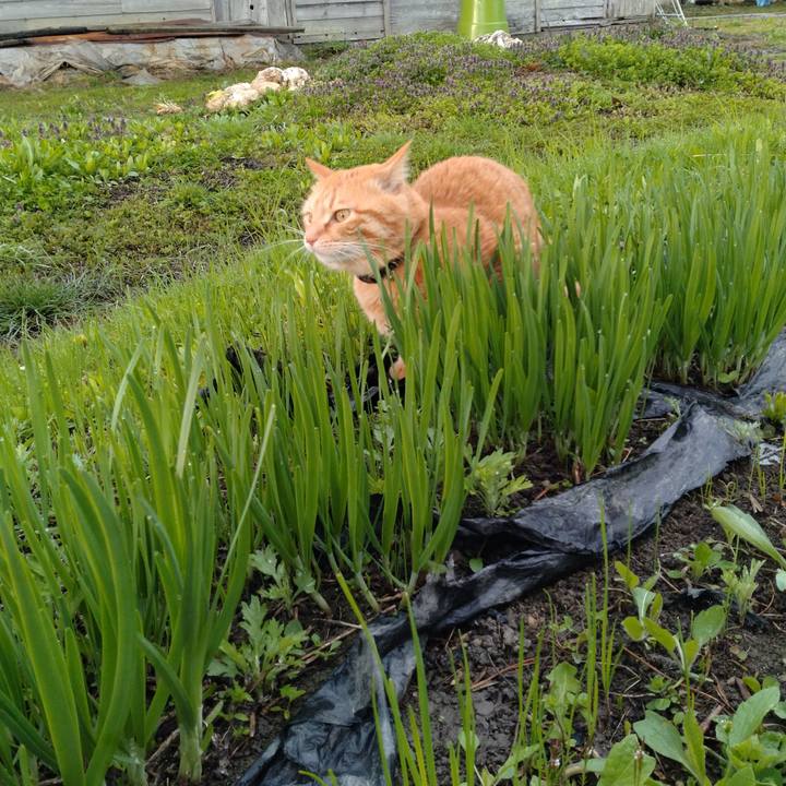 96613187 0d2b 4763 8a41 8c52d10174f9 1681770532945