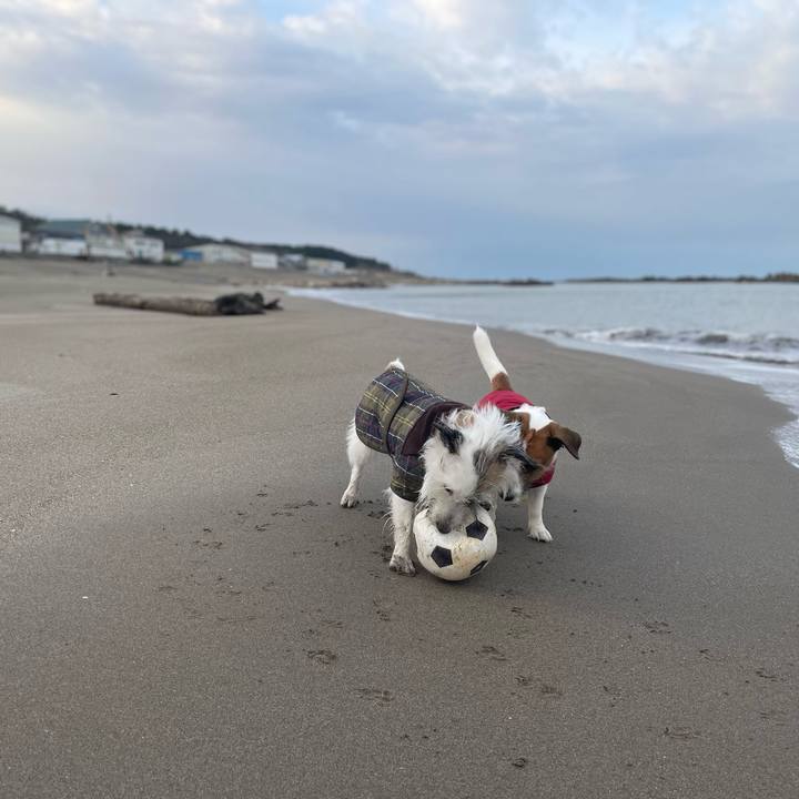 96617919 33bf 4f4b 9992 f29eb1ee0ec4 1765153864778