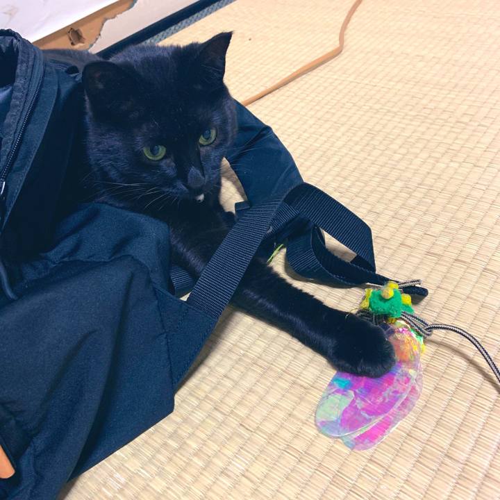 9661b2d5 9663 4330 a54e f2972fcb5062 1557414377407