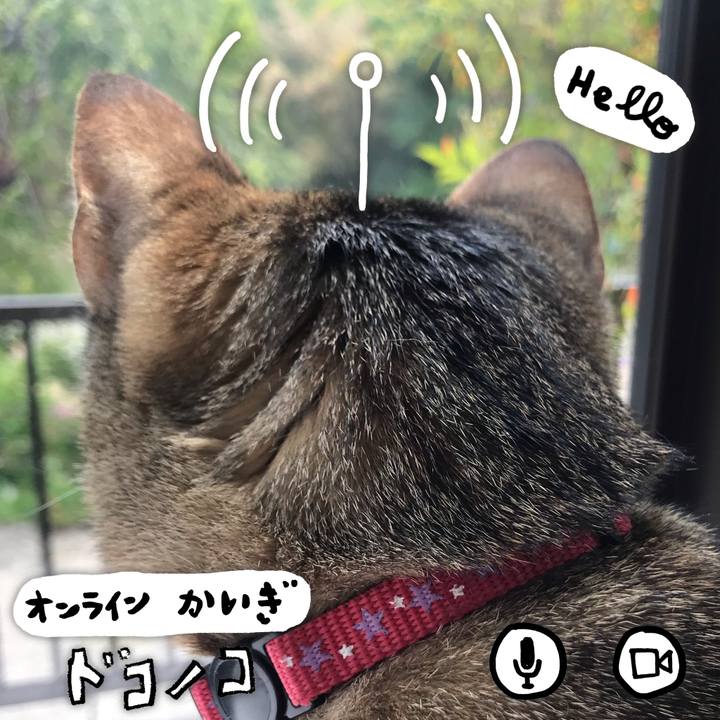 9661e959 e5c9 4c86 af41 5fa12053987b 1590747304736