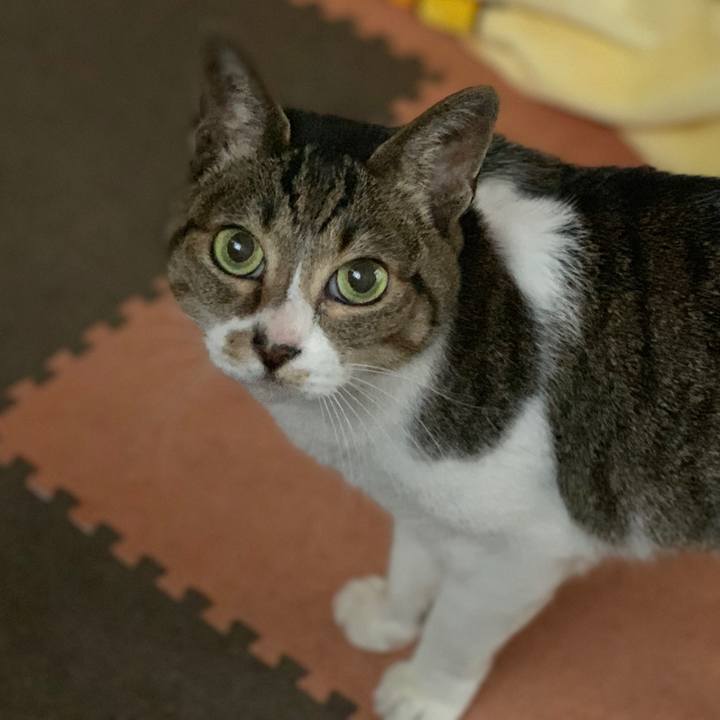 966205f8 c52f 4e58 b5e3 0ddc1948dd17 1556672971669