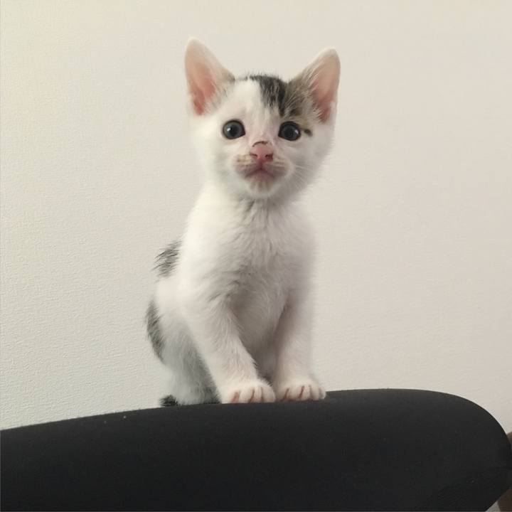 96620879 bfd6 4a9b 9c93 ed7d578ef579 1533214021639