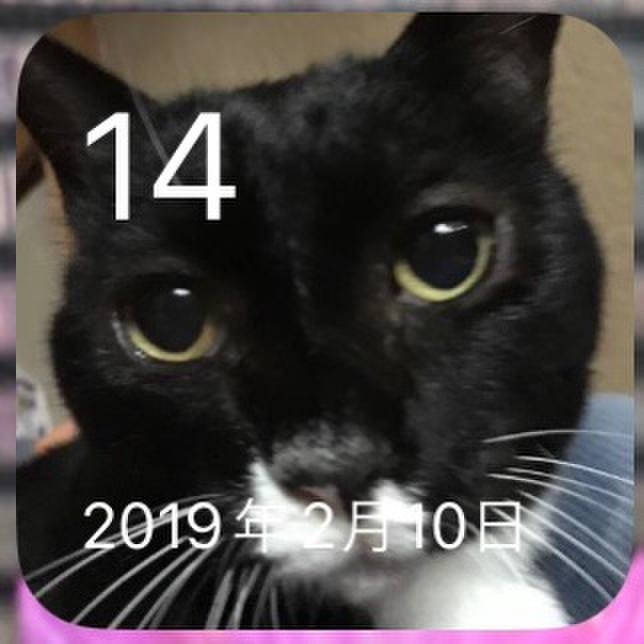 9662265d 861f 49f5 8ce3 5ffc7836689e 1676377419179