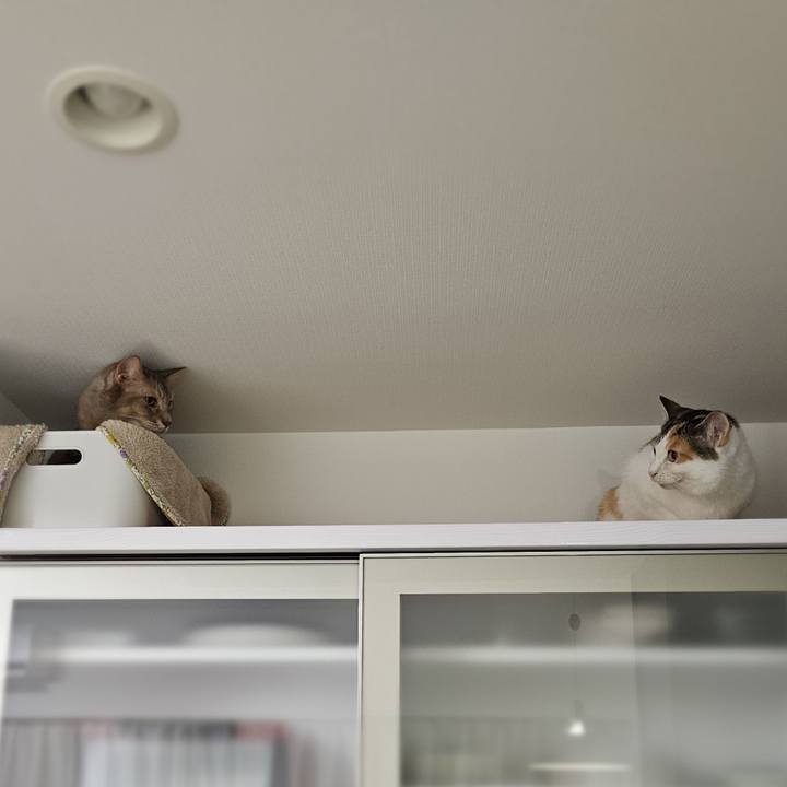 96625e27 ea1f 473d a4f3 3800b512ce1b 1762646823282