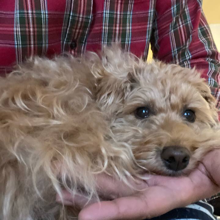 96626cd9 5344 4d89 8159 15ef0c90eb22 1674166814589