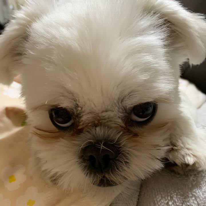 966291d0 502c 4e96 b408 a785f3997413 1677153756546