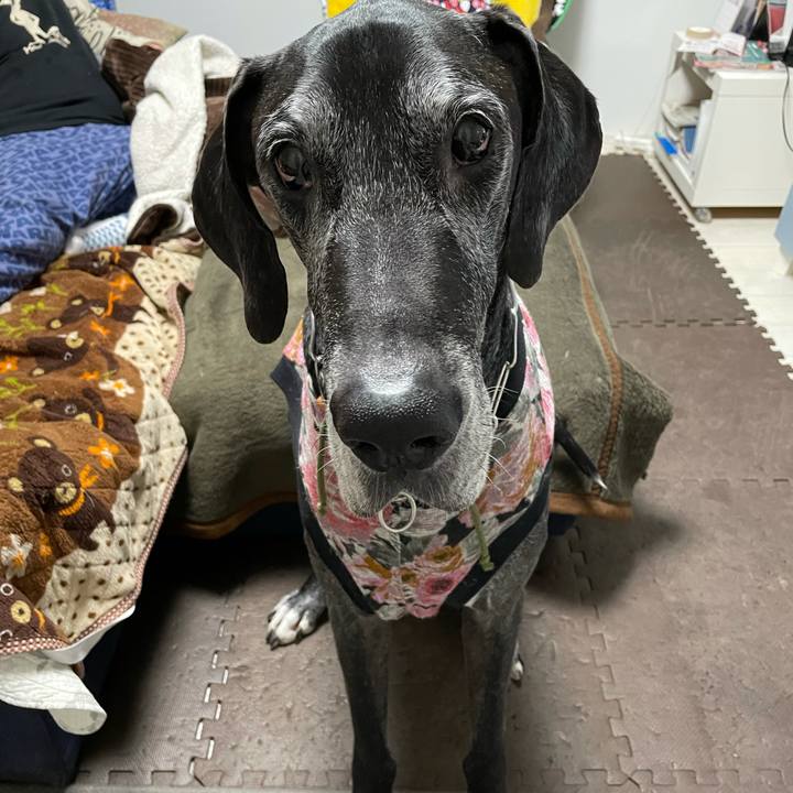 9662a4c4 009a 4c10 b6f9 0ecc3e848c5e 1611476199503