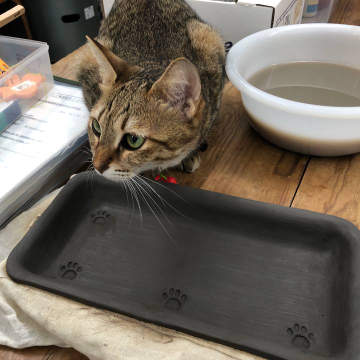 9662ad29 43aa 41d2 a8fa d4ac57e15d4f 1633138640291