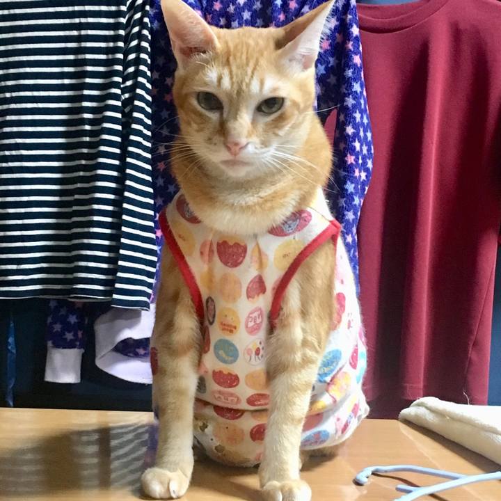 9662e255 f389 4589 b32a 2106ee66fb36 1509368422214