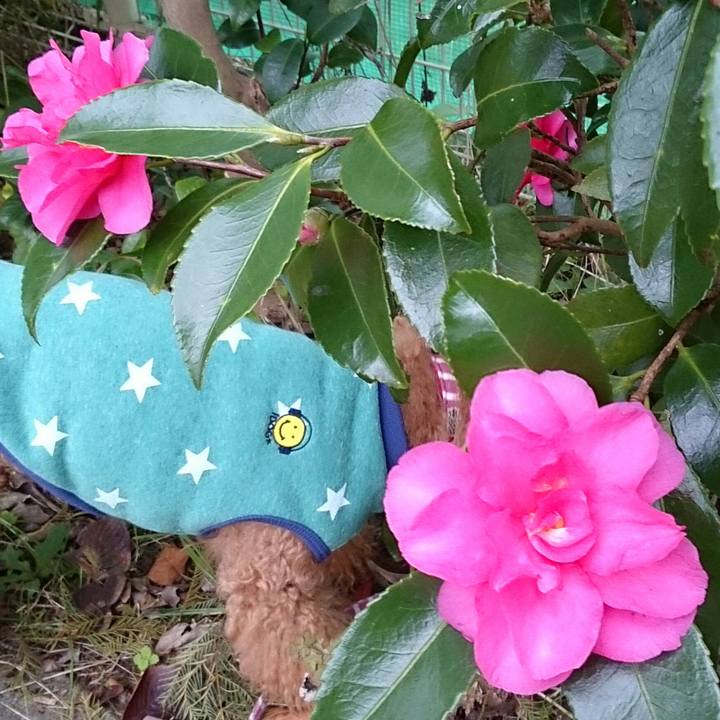 9662fea3 527d 4f68 97dd 9ad20fc5d2da 1510268998823