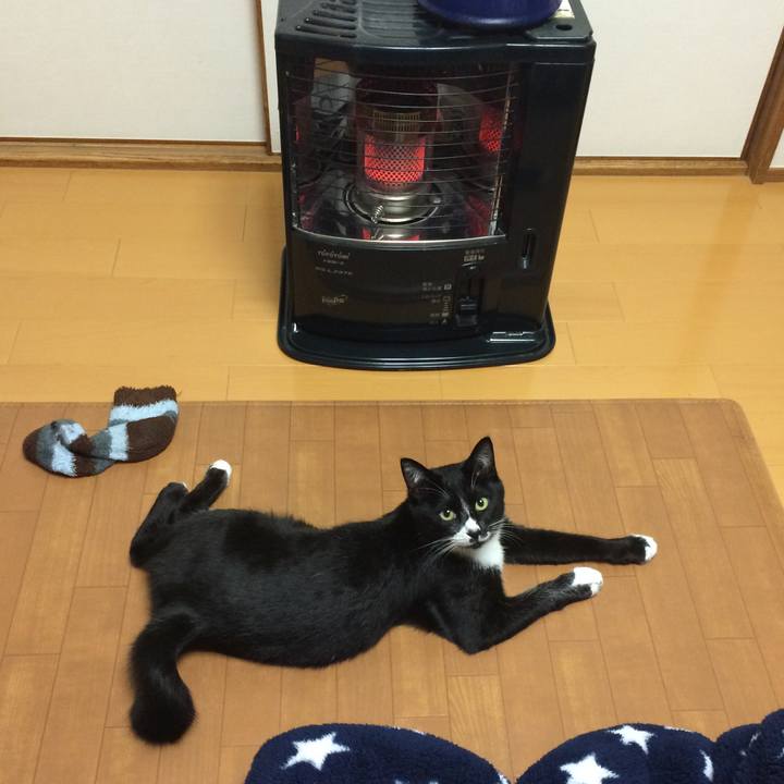 96630ed7 dc6d 4b4b 8307 665972a841e6 1511840763198