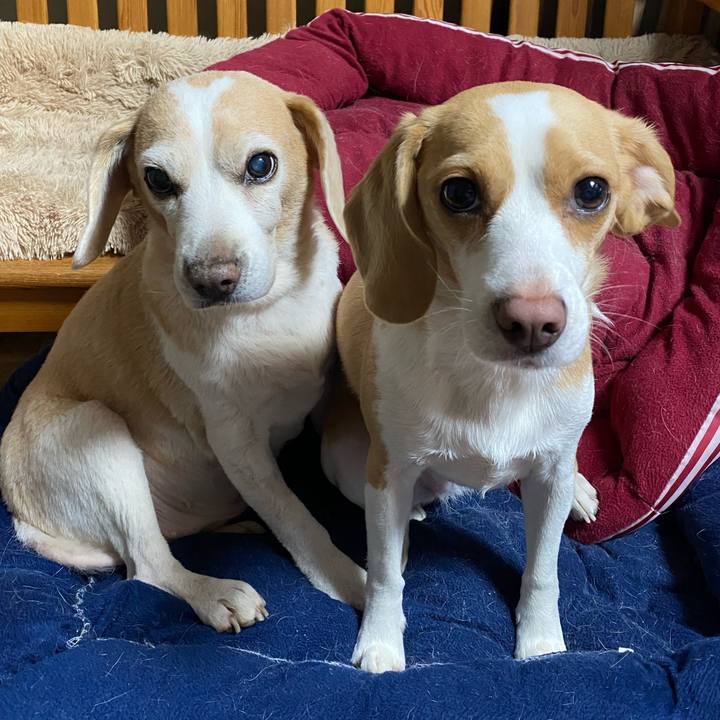 966312ce d60e 4757 9cfe 61967afd2eda 1584955001212