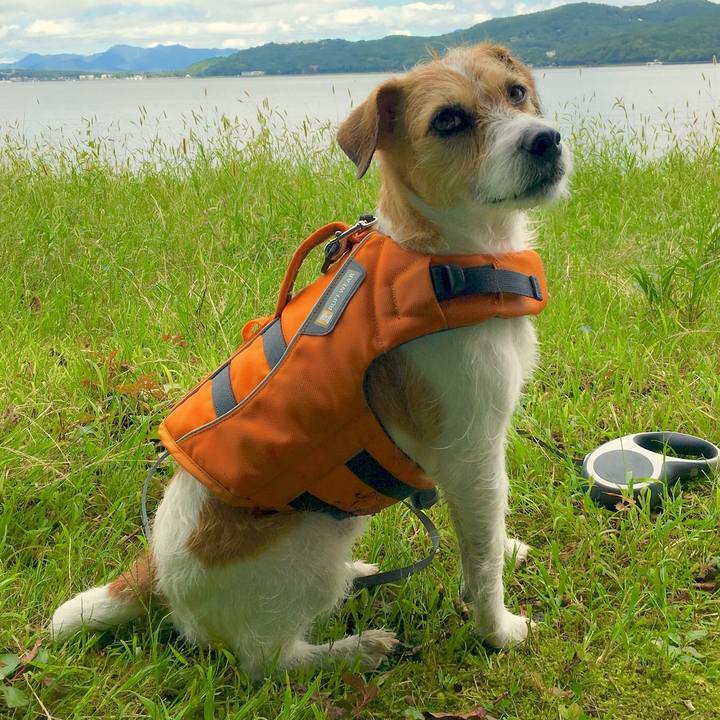 96633013 4280 42be 9dbb aaddcea49fdd 1568457550173