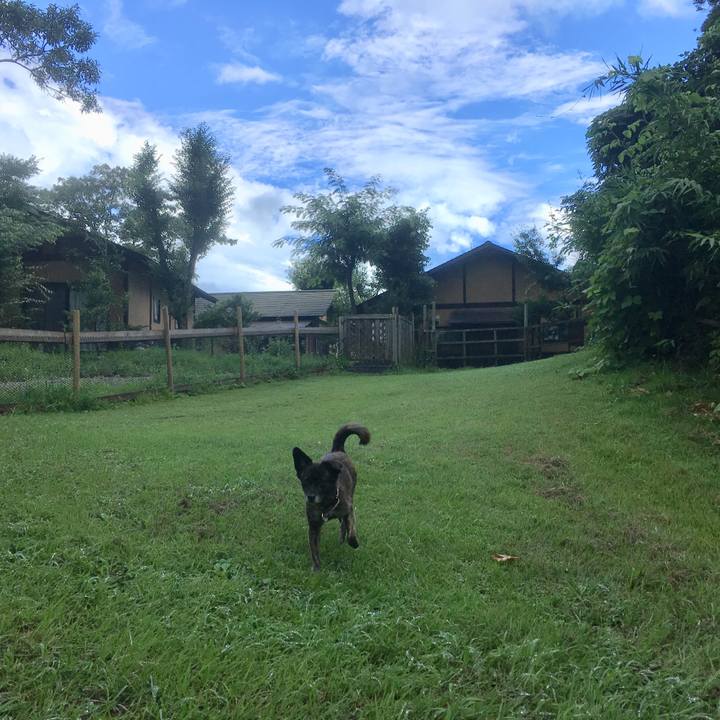 96638136 2b30 4e36 aa14 7316d3631c45 1534806582208