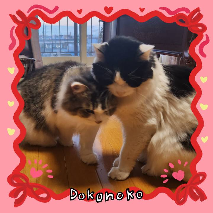 96639ec0 c756 451d a2c2 121778a567ea 1706838153001