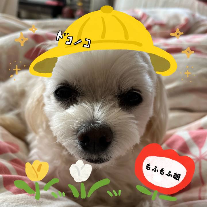 9663bb9b 7ffa 41a7 9100 e0b15fa99692 1712197658631