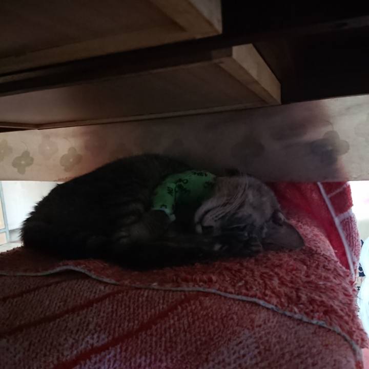 96643d02 eea7 4116 a256 96c6ea6d521b 1587069453345