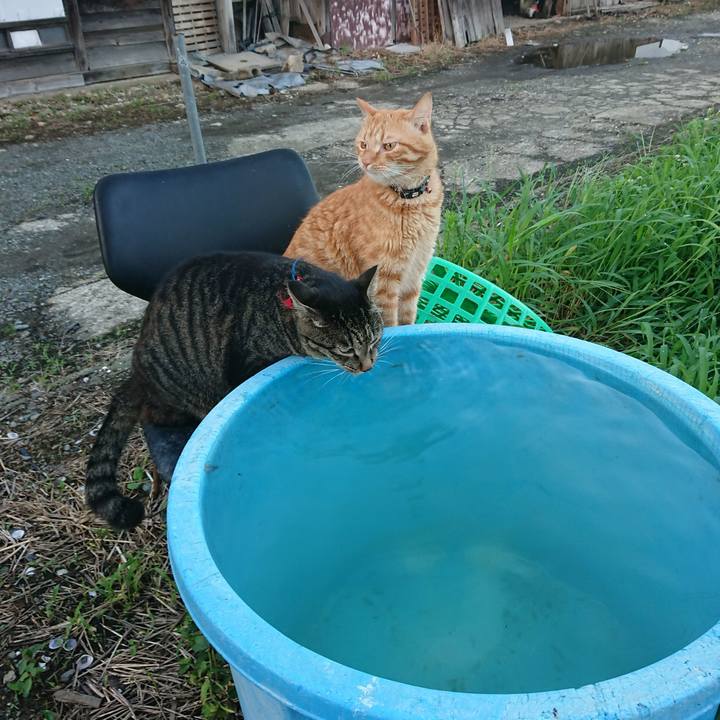 966484a4 47ea 4bf1 bda7 58dc99348ecd 1660816175413