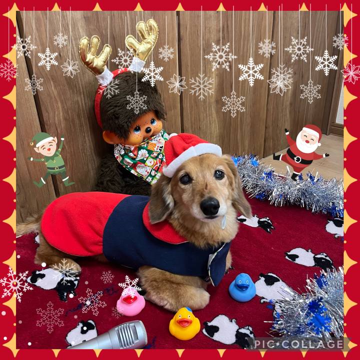 9664881c 0372 45af af46 55fc853ad5a1 1639912614299