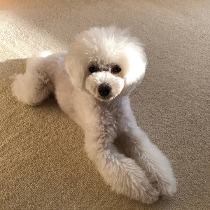 9664b7bd a392 411b 9862 19637a94a4f1 1611989733452