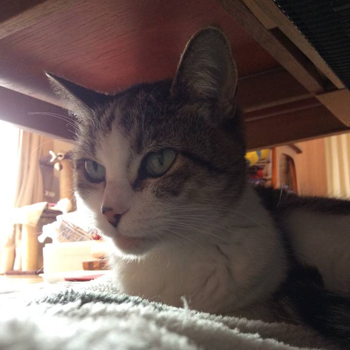 96653093 0f2c 47e5 85cd 13799fc46c18 1766359465851