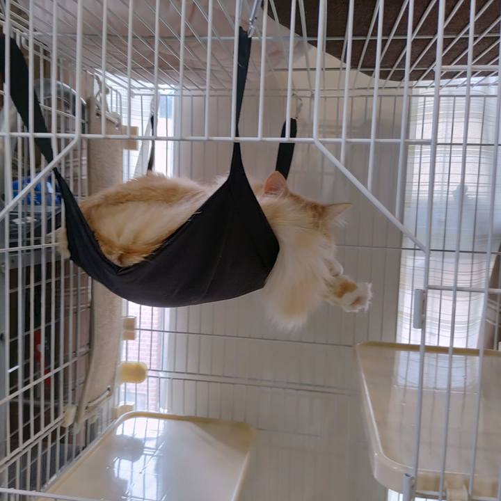 96656dd3 0859 4cd8 9357 ec2cd958c99c 1655165653569