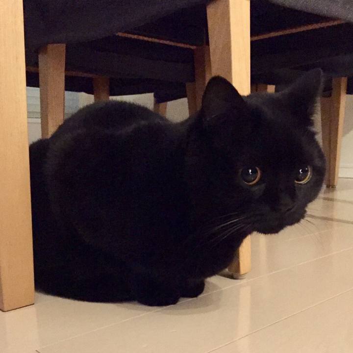 966571ab 8137 4389 97f7 70828f0273f7 1581855935750