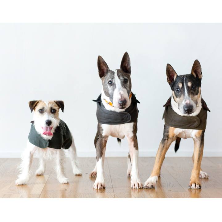 96659c48 18ca 4f82 baa8 ff3b997c0212 1617025825595