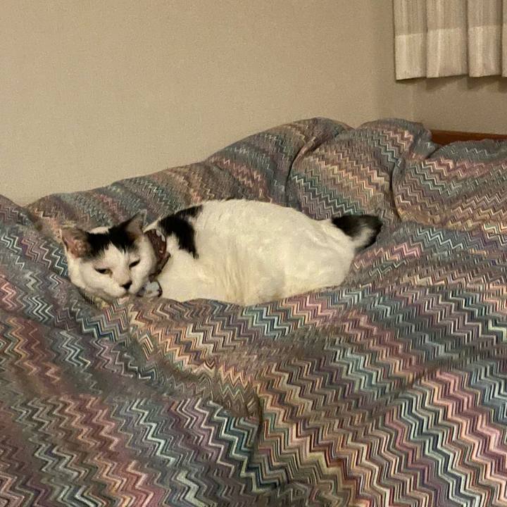 9665d16c 4225 4fa0 bd25 080c33059697 1681051617607