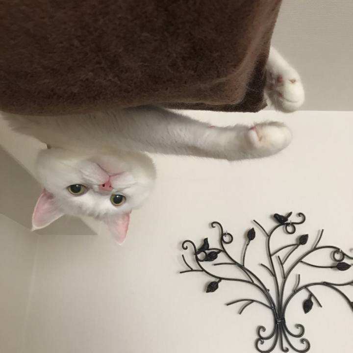 9665d282 61ce 4b17 84e3 5d9452e42280 1510027027647