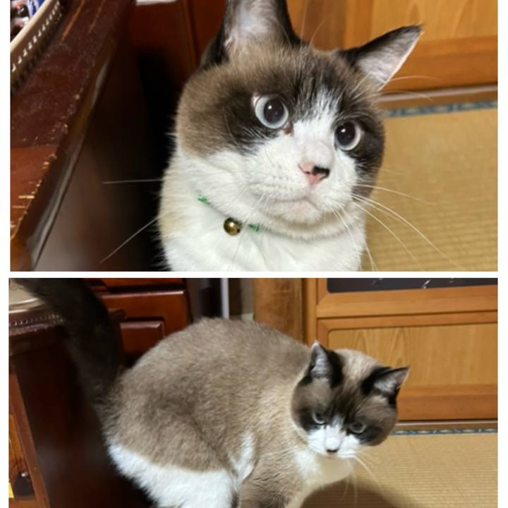 9666009c 2529 4885 9b17 3fedd2bb8c2e 1762375398794