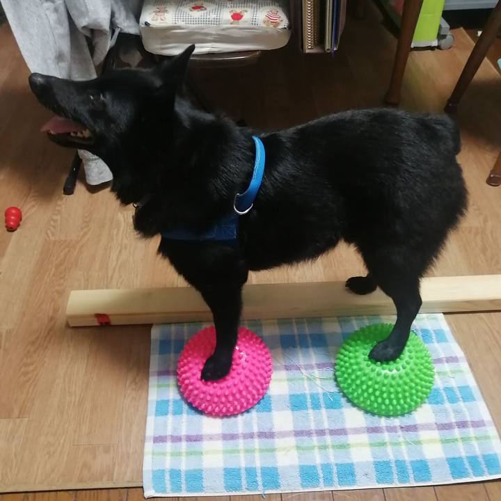 96661c77 79aa 47f0 bb76 945b4f48d357 1633607071675