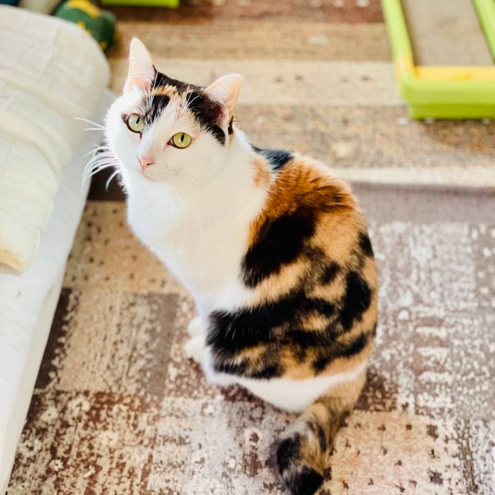 96668abe b71d 490f 8d13 882044d672e7 1610594578203