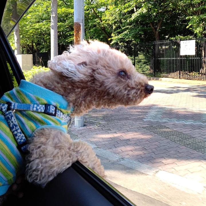 96669c26 c079 4b59 9b6d cb477e83f822 1621752871820