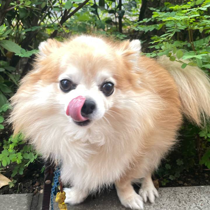 9666c7ee 31f8 4441 af17 f7015af4b777 1760226596490