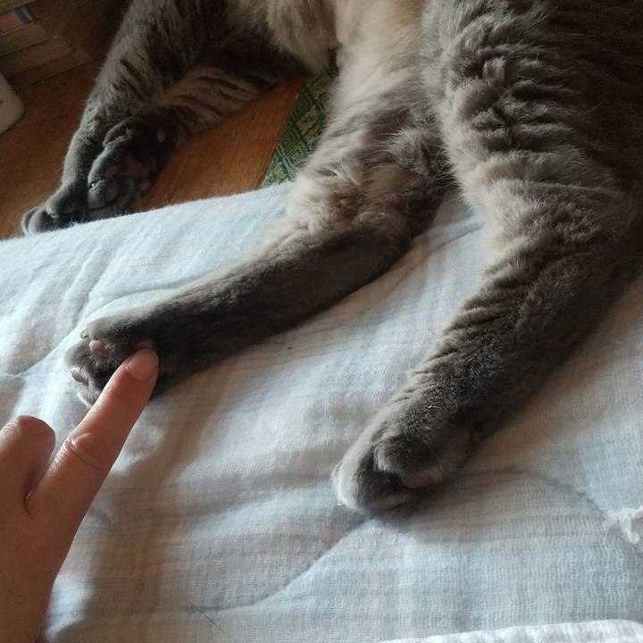 9666fbe7 081c 4c3b 9491 a6ee94ff653b 1658108768097