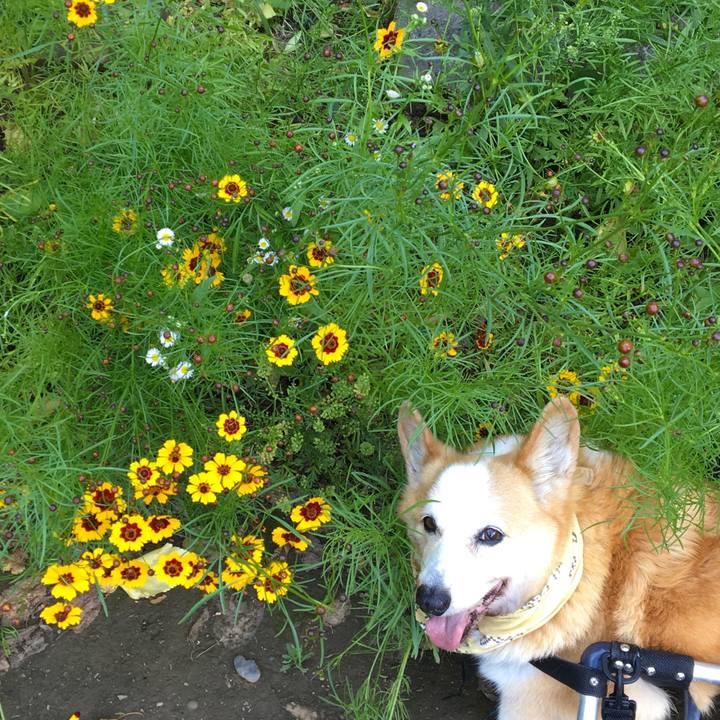 96671584 5da9 4b00 8533 8ee4481c4f18 1560832965530