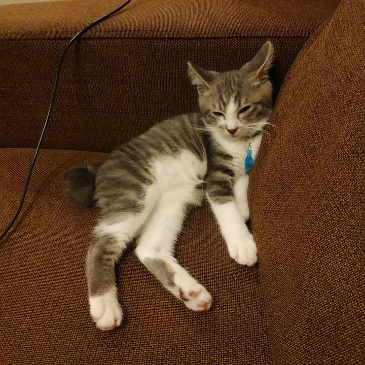 96674f6b 49a5 4ee1 9dec 9c8d45de0294 1563274293376