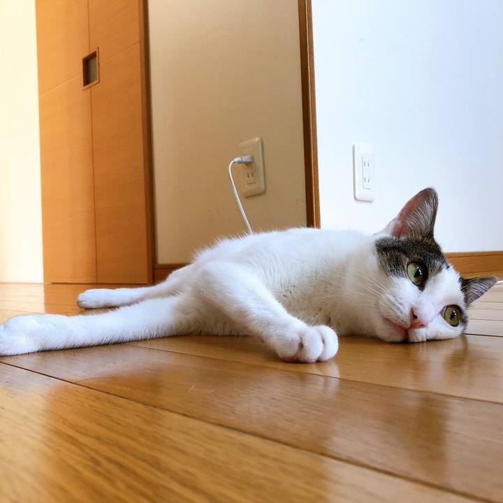 966766ee bde4 47e3 9bd5 aa9731dbe07c 1597014838627