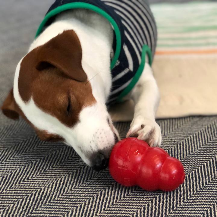 9667d219 2ca4 4c9f 87e6 687c77aa400d 1548920857388