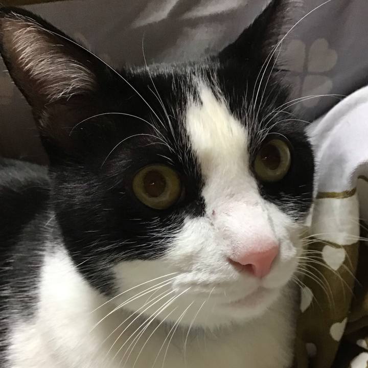 9667d2ef b5d3 47ca 86f9 c3cdb7075a03 1733303689046