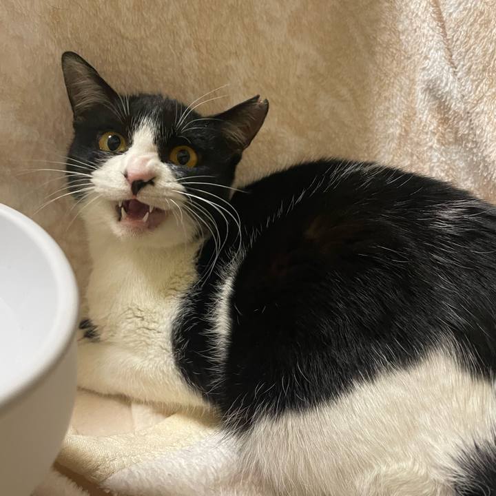 96681212 90b3 473e b2ae 34789fa6abc8 1678779085591