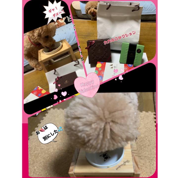 966827dd 206e 45e2 80ca e86a2a0b5c54 1550134166037