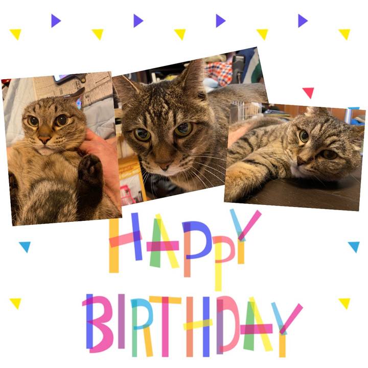 9668437e eb0c 40cb 949d a3fbcab2b9ba 1657780414925