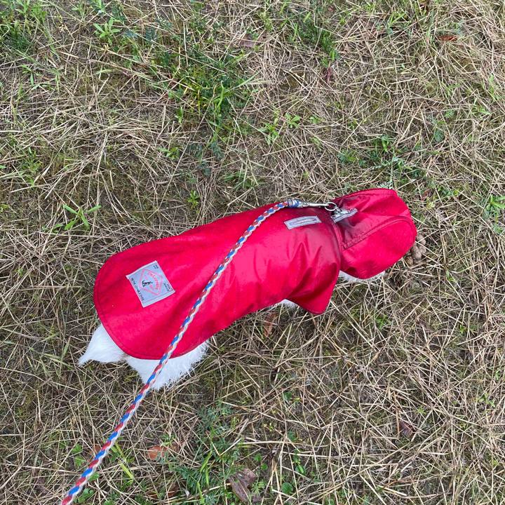 96685cfc e677 4b71 8330 44d994a3041b 1715553511514