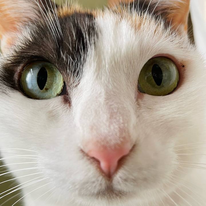 96689a21 dea5 42f9 846e 0ee9bc4c277c 1644892614322