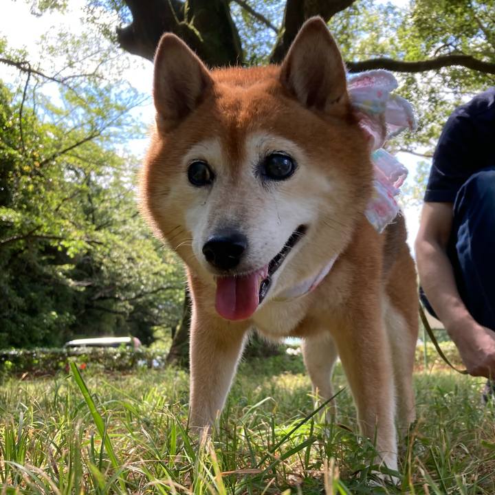 9668a89f f746 43bd 9759 2c4de34f5979 1690771257905