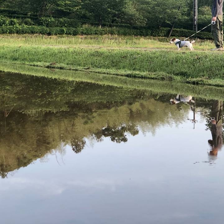 9668c2e2 a0b8 465c b152 30acac9bccd4 1716518721635