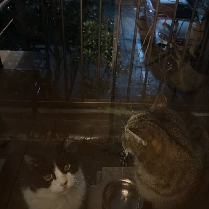 9668e8bd 2dbe 411f 9c67 f71fa31ef3f0 1771241222446