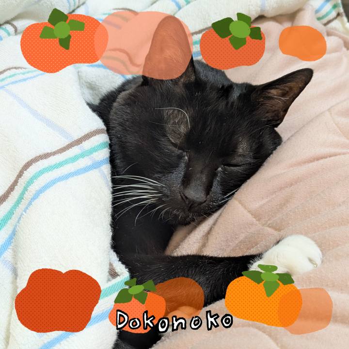 96691e5c 164e 4321 8004 199bf5acb277 1763083543668